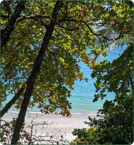 Manuel Antonio National Park
